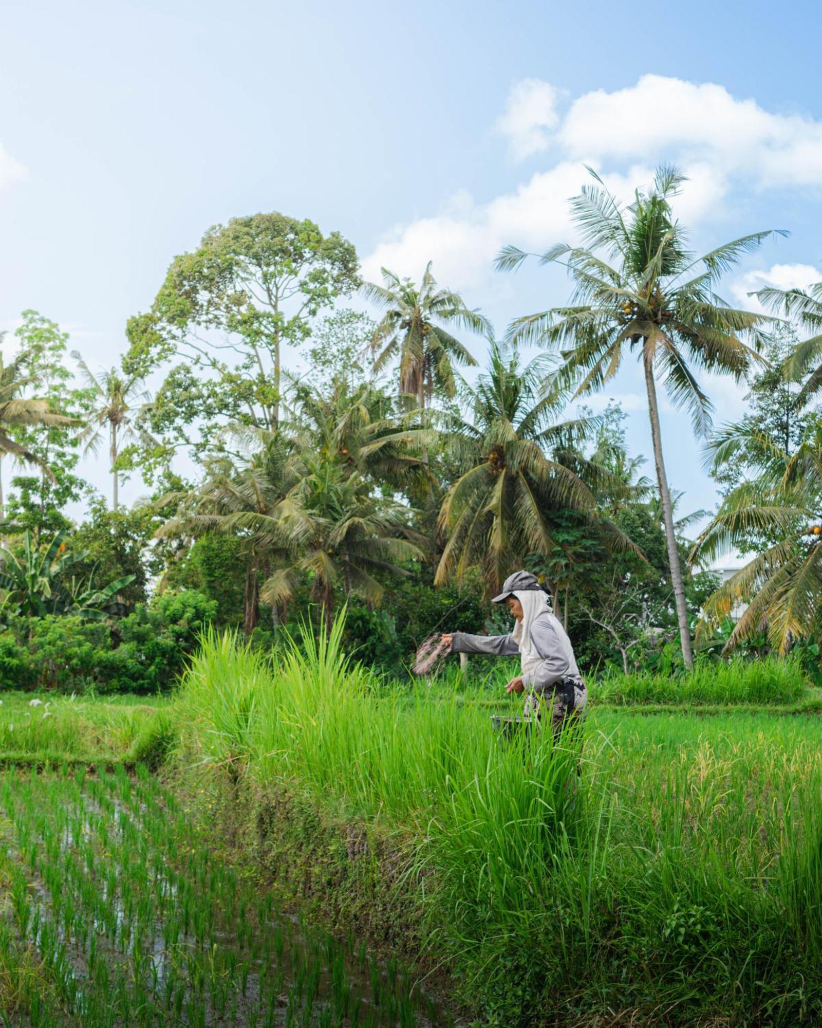 Tannari Villa Ubud Buitenkant foto